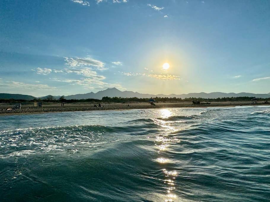 Relax En Playa De L'Ahuir Gandia Leilighet Playa de Gandia Eksteriør bilde